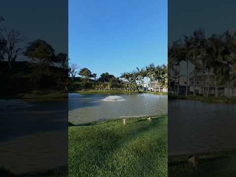 A Calm Morning in Brazil 🇧🇷 | Nature & Peace #shorts#youtubeshorts#brazil#nature#calmvibes#dailyvlog