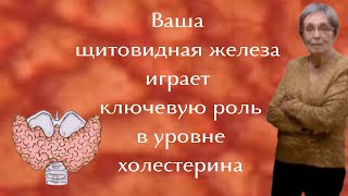 Ваша щитовидная железа играет ключевую роль в уровне холестерина