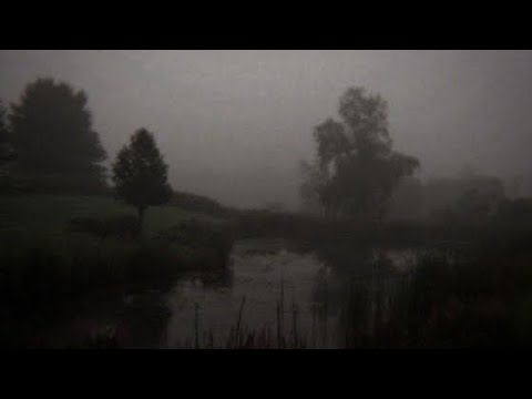 Øneheart Watching The Stars Slowed Drowning In The Silent Fog