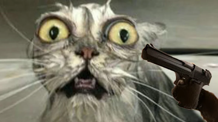 Watch the video about The FUNNIEST Pet Videos COMPILATION 🤣 You Laugh You Lose 🐶😸 | Cats and Dogs funny videos