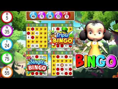 Bingo Play: Bingo Offline Fun
