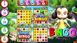 Bingo Play - Bingo Offline Fun screenshot 3