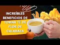 11 avantages du th  la fleur de citrouille que vous ne connaissez probablement pas pour votr