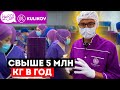Свыше 5 МЛН КГ Тортов в ГОД — Самое крупное кондитерское производство в Кыргызстане!