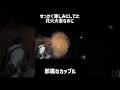 花火大会で他の目を気にせず立ったまま撮影し始めるカップル…