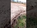 Орудийная площадка. ББ №24