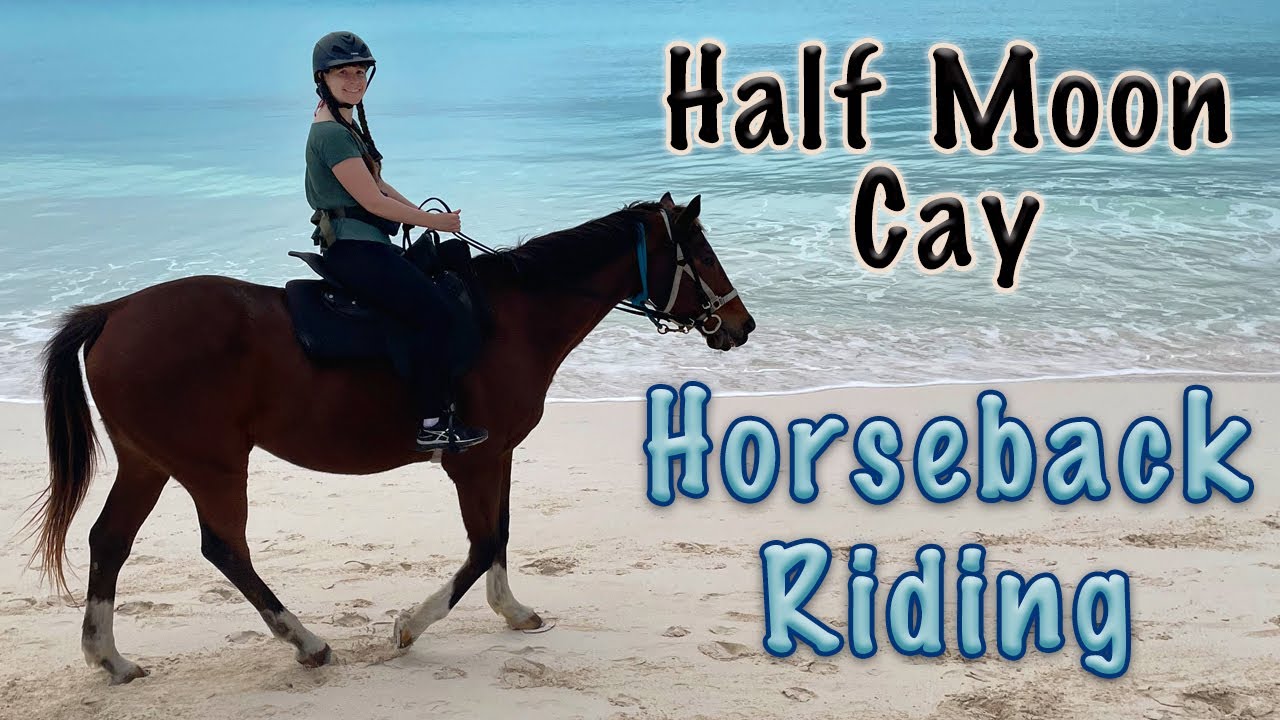 Half Moon Cay Horseback Riding by Land & Sea