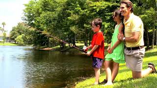 Discovering Life in Conroe, Tx