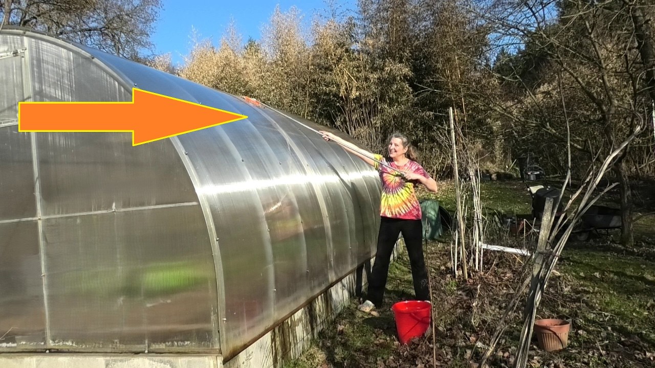 UMÝVÁM SKLENÍK - Testuju nový teleskopický otočný mop (Vítek vylepšuje bambusárium a krmí včely)