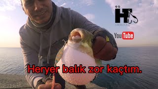 Bu Aksiyona Hiç Bir Balık Dayanamadı. Heryerdeler Her Atış Balık Baracuda, Istavrit, Sarıturna