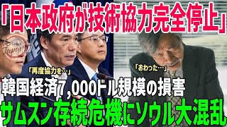 【海外の反応】日本が韓国への技術協力を全面停止!「想定外の判断だ」と韓国→結果、7,000億ドル規模損失で崩壊危機【総集編】