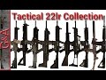 Collection tactique 22 22lr