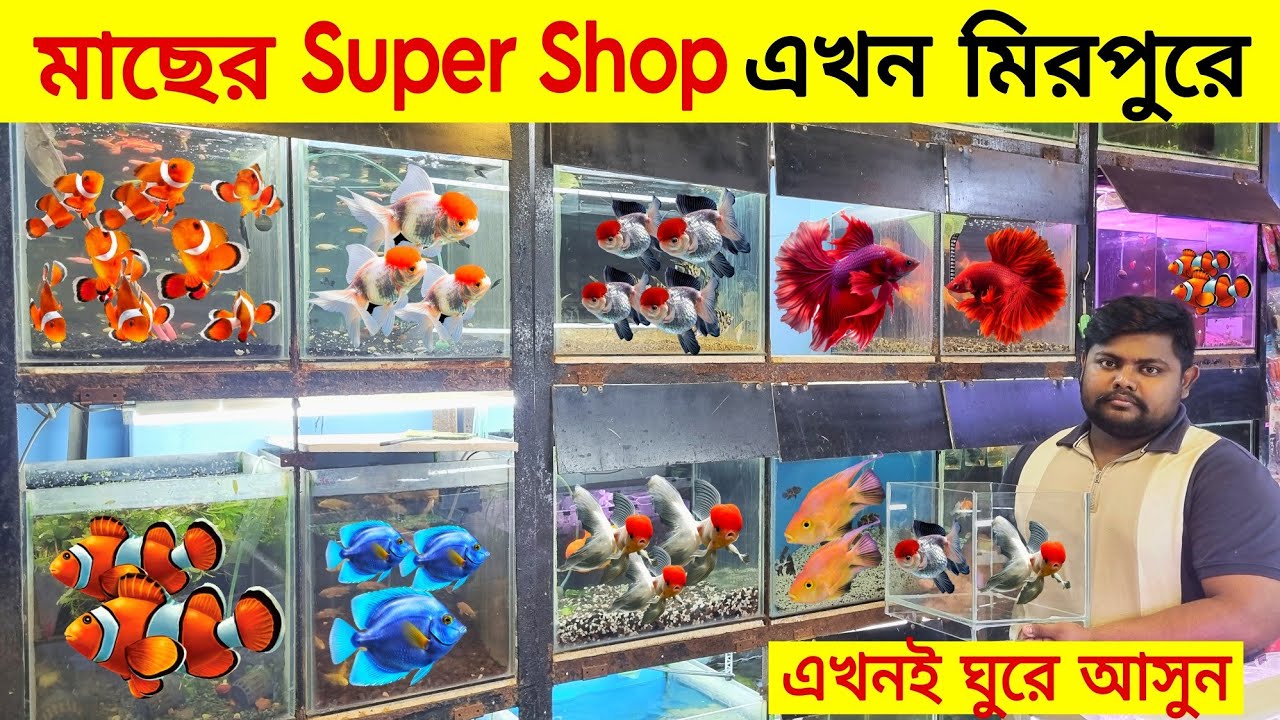 Aquarium Price In Bangladesh Aquarium Fish Price In Katabon Aquarium aquarium-price-in-bangladesh-aquarium-fish-price-in-katabon-aquarium
