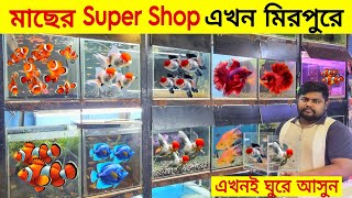 Aquarium Price In Bangladesh Aquarium Fish Price In Katabon  Aquarium Fish Super Shop In Mirpur