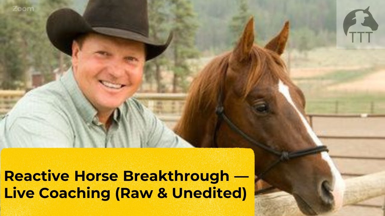 Colby live coaching 1