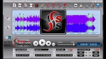 Introducing.... Song Surgeon Version 4 for Windows