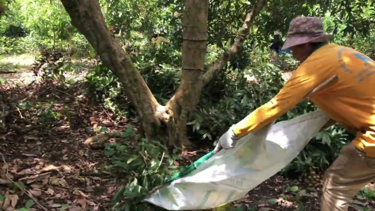 ngày 24 tháng 8, 2025