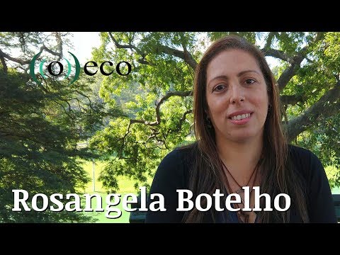 [PENSE VERDE] O solo é um recurso renovável? - Rosangela Botelho