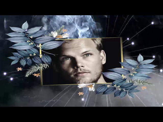 Avicii Tribute Mashup - 18 song  the best of avicii (Megamashup) class=