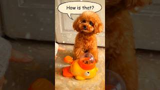 He Pressed The On Then This Happened