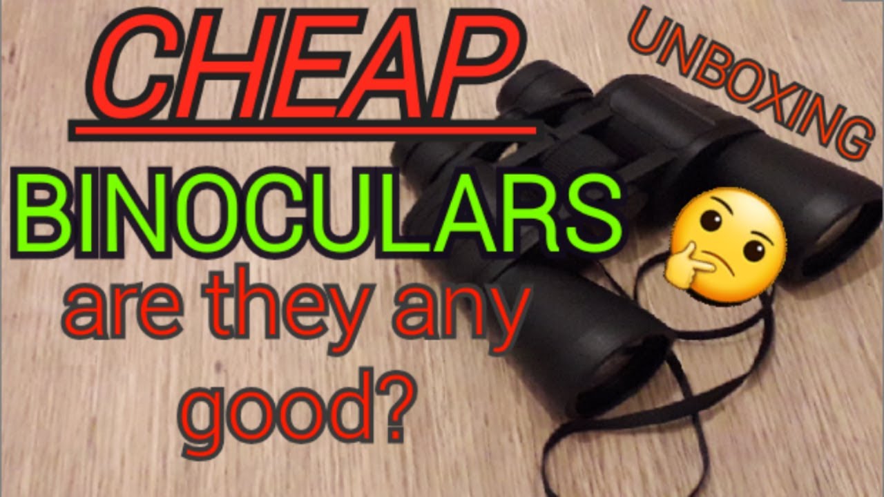 Are Cheap Binoculars Any Good