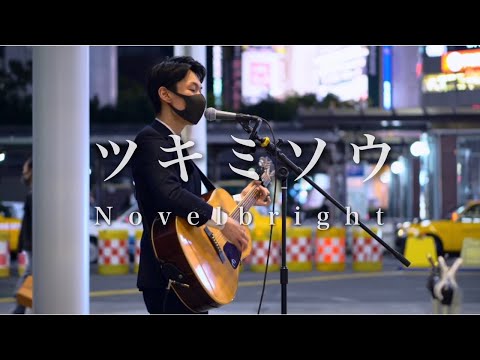 【スーツの男性が歌う】Novelbright『ツキミソウ』