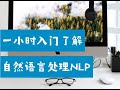 一小时入门了解自然语言处理NLP是什么  （第666期）