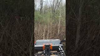 Titan Attachments mini skid steer Flail mower on Toro Dingo Tx 700 W