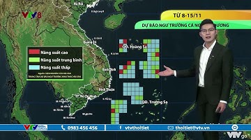 Bản tin thời tiết biển ngày 08/11/2022: Ngư trường cá ngừ đại dương từ 8 -15/11 | VTVWDB