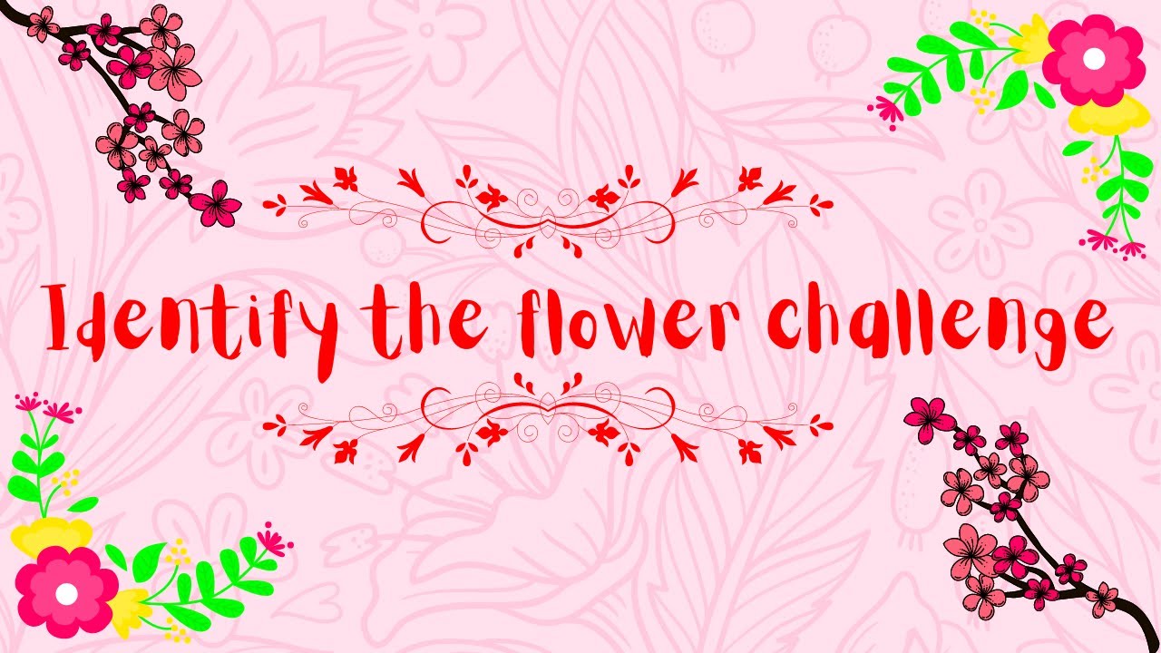Identify the flower challenge || Fun facts on flowers || Wizartist