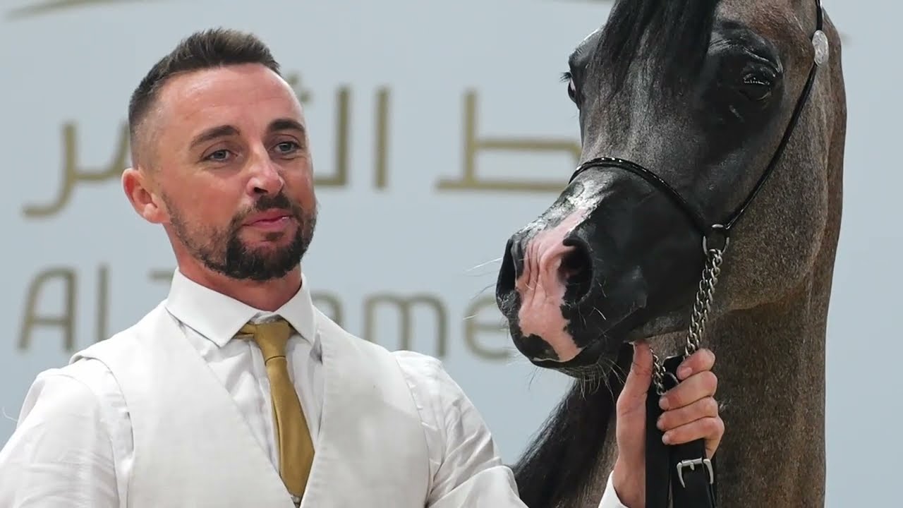 AL JUMAIL STUD ACHIEVEMENTS - All Nations Cup 2023