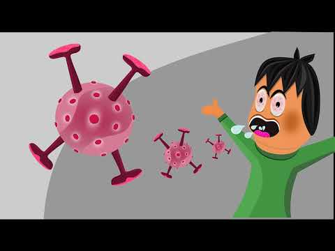 Hanta virus: Treatment and Prevention