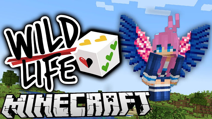 Surprise! 🎲  | Ep. 1 | Wild Life