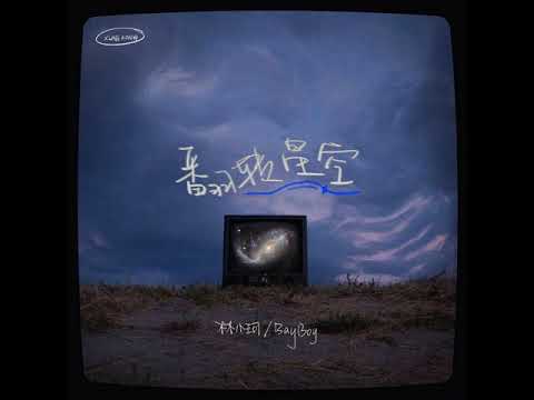 林小珂, BayBoy - 翻转星空 (Pitch-Changed Version)