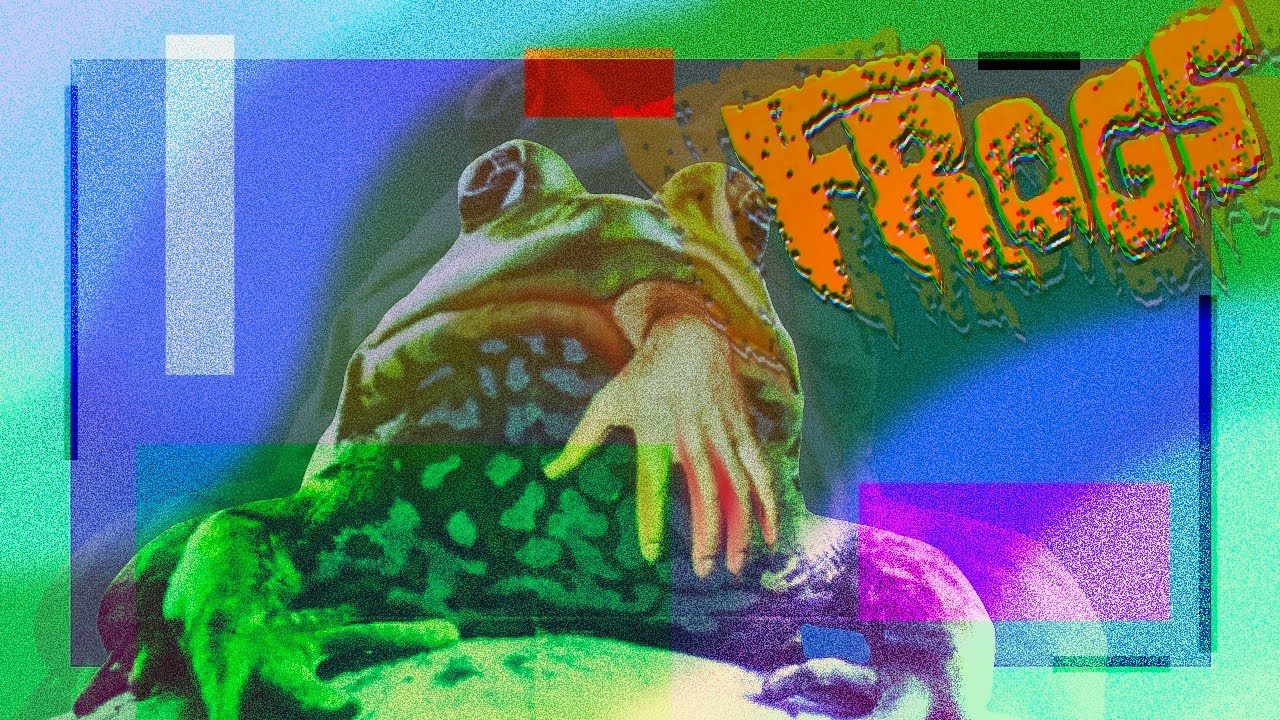 Frogs: Revisiting the Classic Eco Horror