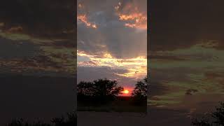 A Serene Dawn at Nossob Camp - Kgalagadi Transfrontier Park