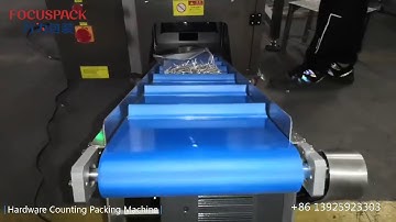 Automatic Hardware Counting Packing Machine