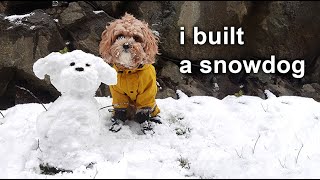 Nothing Can Make My Dog Happier Than Snow I vlog by Olive Joa 7,339 views 1 year ago 3 minutes, 34 seconds