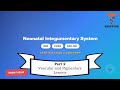 Neonatal Certification Review: Section 3 - Integumentary System 2/4