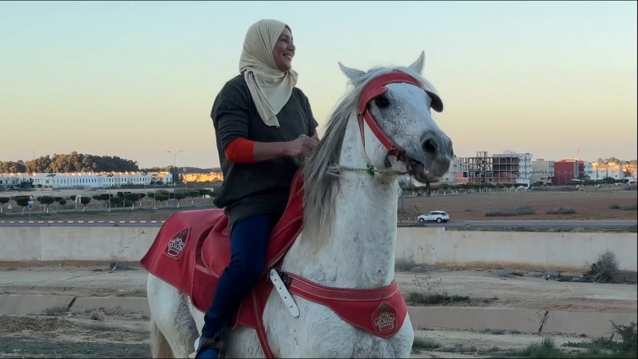 أجواء العيد مع العائلة في البادية🏜️وحظرت طورطا رائعة🎂وركبة على الخيل🐴