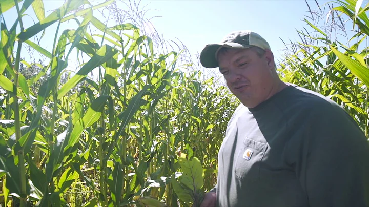 Wide-Row Corn Ideas: Growing Vegatables