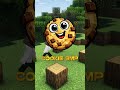 The Best New Anarchy Server - Anarchy in Minecraft Cookie SMP