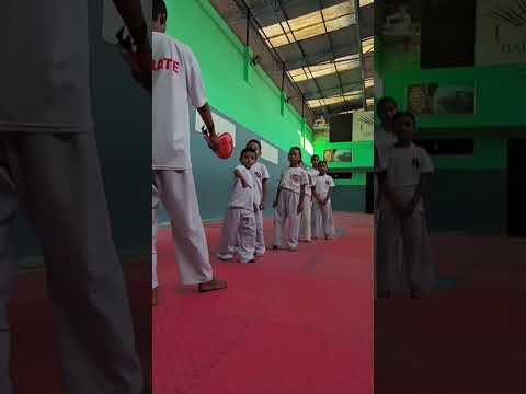 #galaxy #public #school #karate #dojo
