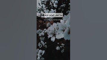 ﴿ لا يَسْأَمُ الْإِنسَانُ مِن دُعَاءِ الْخَيْرِ ﴾ | ماهر المعيقلي - سورة "فصلت" ﴿ ٤٩-٥٠ ﴾