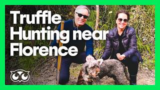 Tripadvisor Insider: Truffle Hunting near Florence, Italy