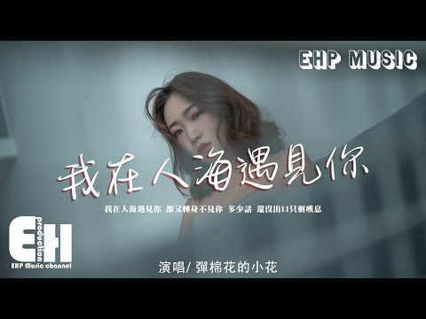 彈棉花的小花 - 我在人海遇見你（女聲版）（原唱：王韻）『我在人海遇見你，卻又轉身不見你。』【動態歌詞/Vietsub/Pinyin Lyrics】