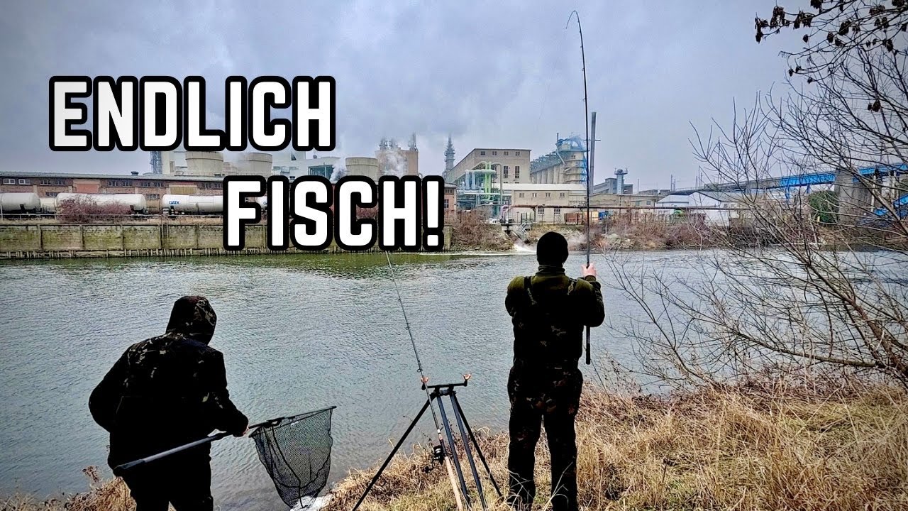 Endlich belohnt beim Feedern - Angeln am Fluss bei Minusgraden!