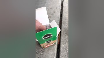 Fertilizing fig trees