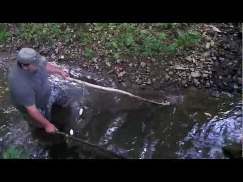 Catching minnows with a homemade net