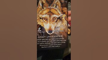 Spirit has a message for you 🌙 Oracle Cards✨️Psychic Reading